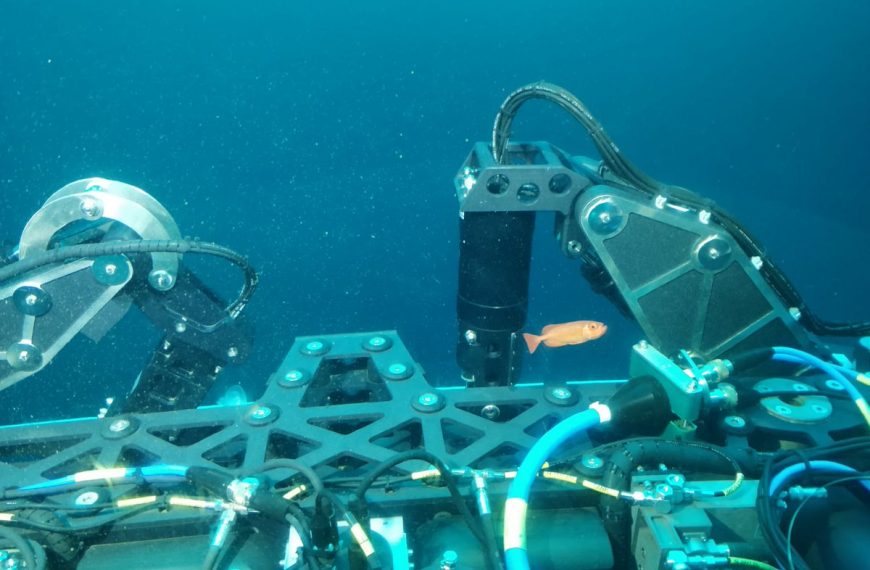 Finally, Indian Navy Activates Deep Submarine Rescue Capability