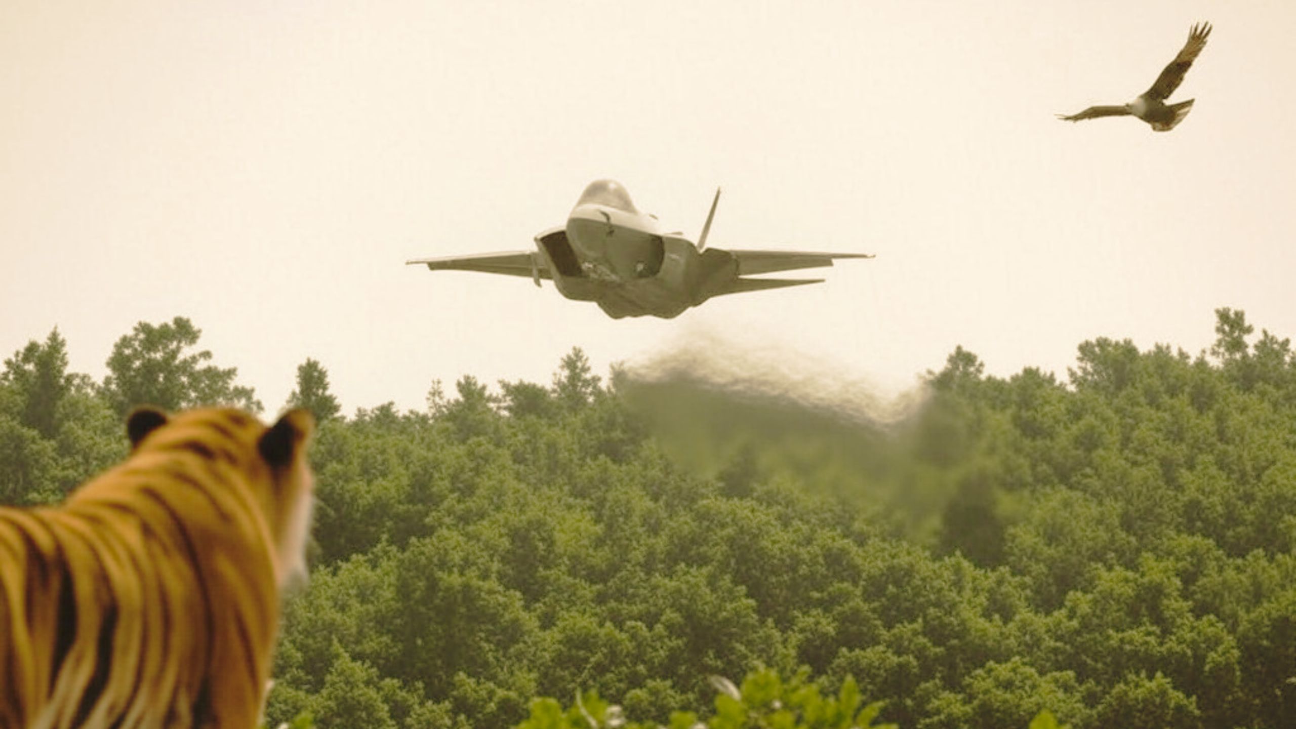 Dangled For 20 Years, F-35 Officially ‘Offered’ To India